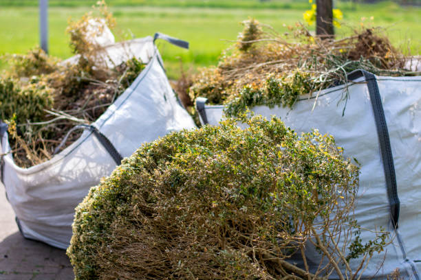 Household Junk Removal in Greeley, CO